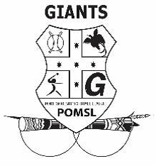 POM Giants Skins Softball Team